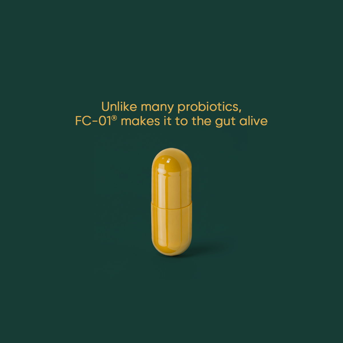 FC-01® Daily Synbiotic