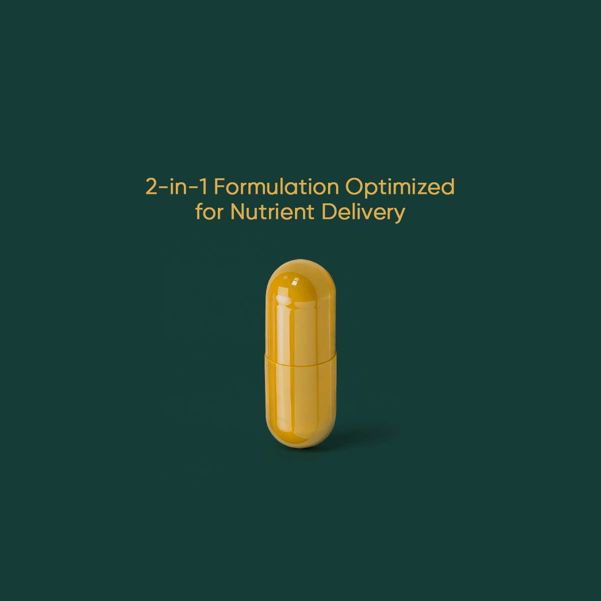 FC-02® Daily Multivitamin